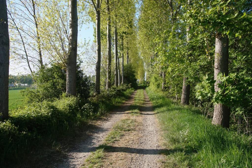 Vakantiewoning Het Olietunnetje Ovezande Exteriér fotografie
