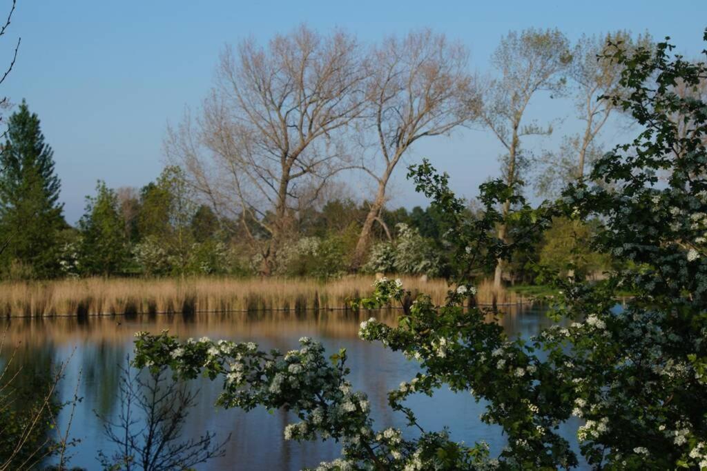 Vakantiewoning Het Olietunnetje Ovezande Exteriér fotografie