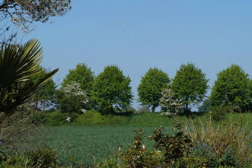 Vakantiewoning Het Olietunnetje Ovezande Exteriér fotografie